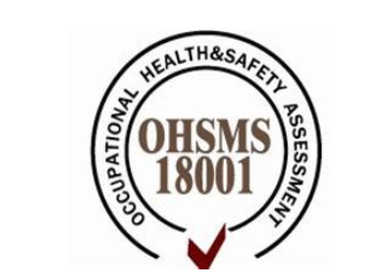 中山真人游戏通过OHSAS18000认证现场审核喜讯